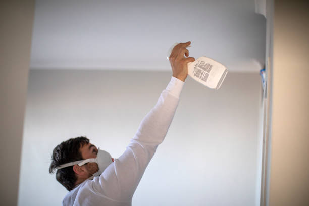 Crestwood Village, NJ Mold Removal Company