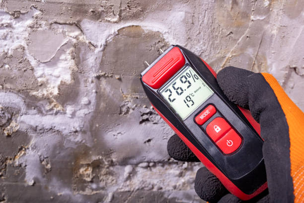 Best Certified Mold Removal  in Crestwood Village, NJ