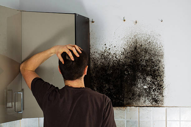 Crawl Space Mold Removal in Crestwood Village, NJ